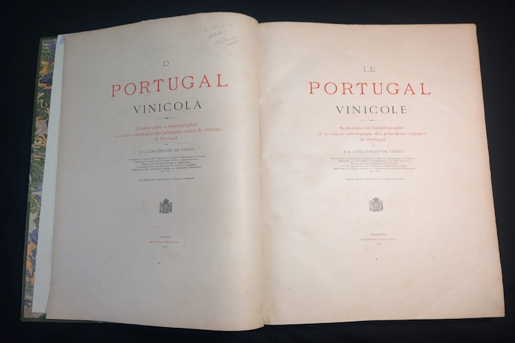 A Vindima e 